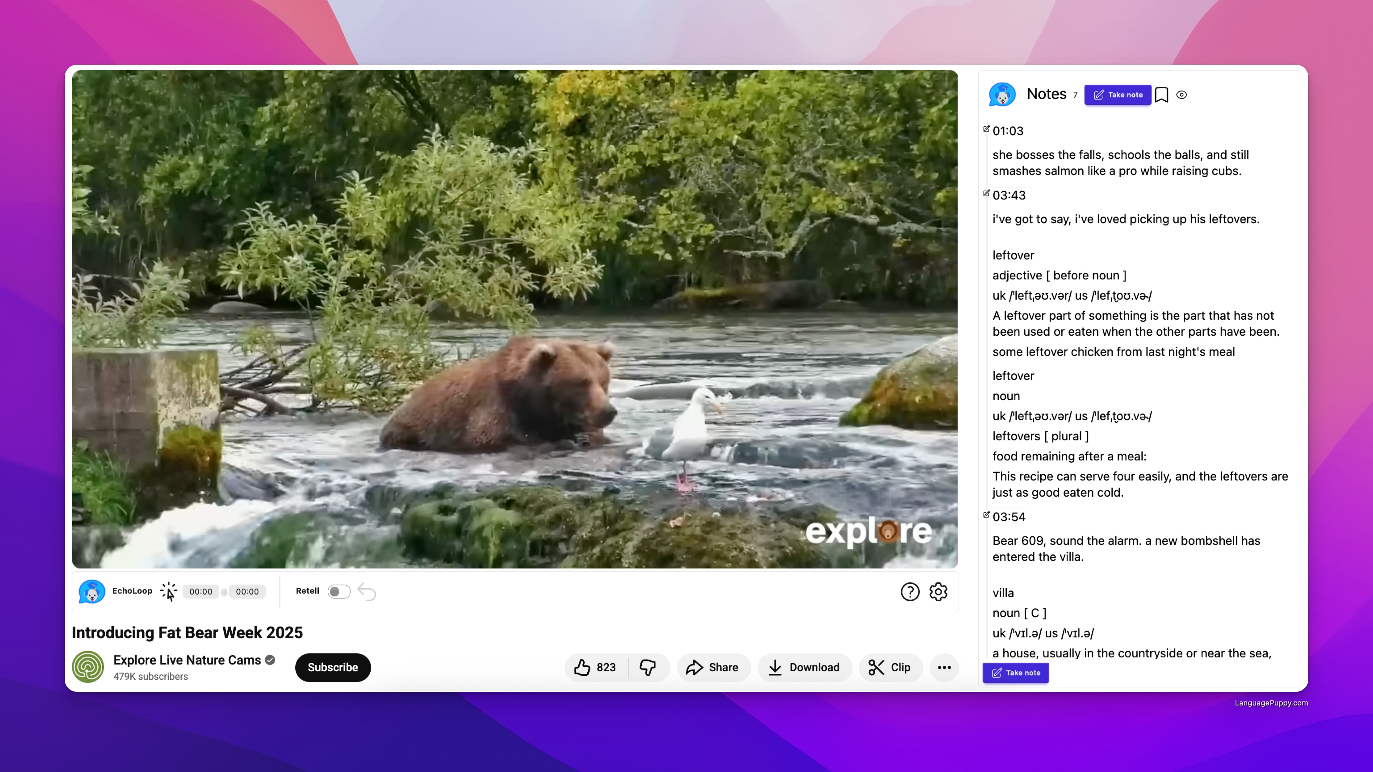 Fat Bear Week
