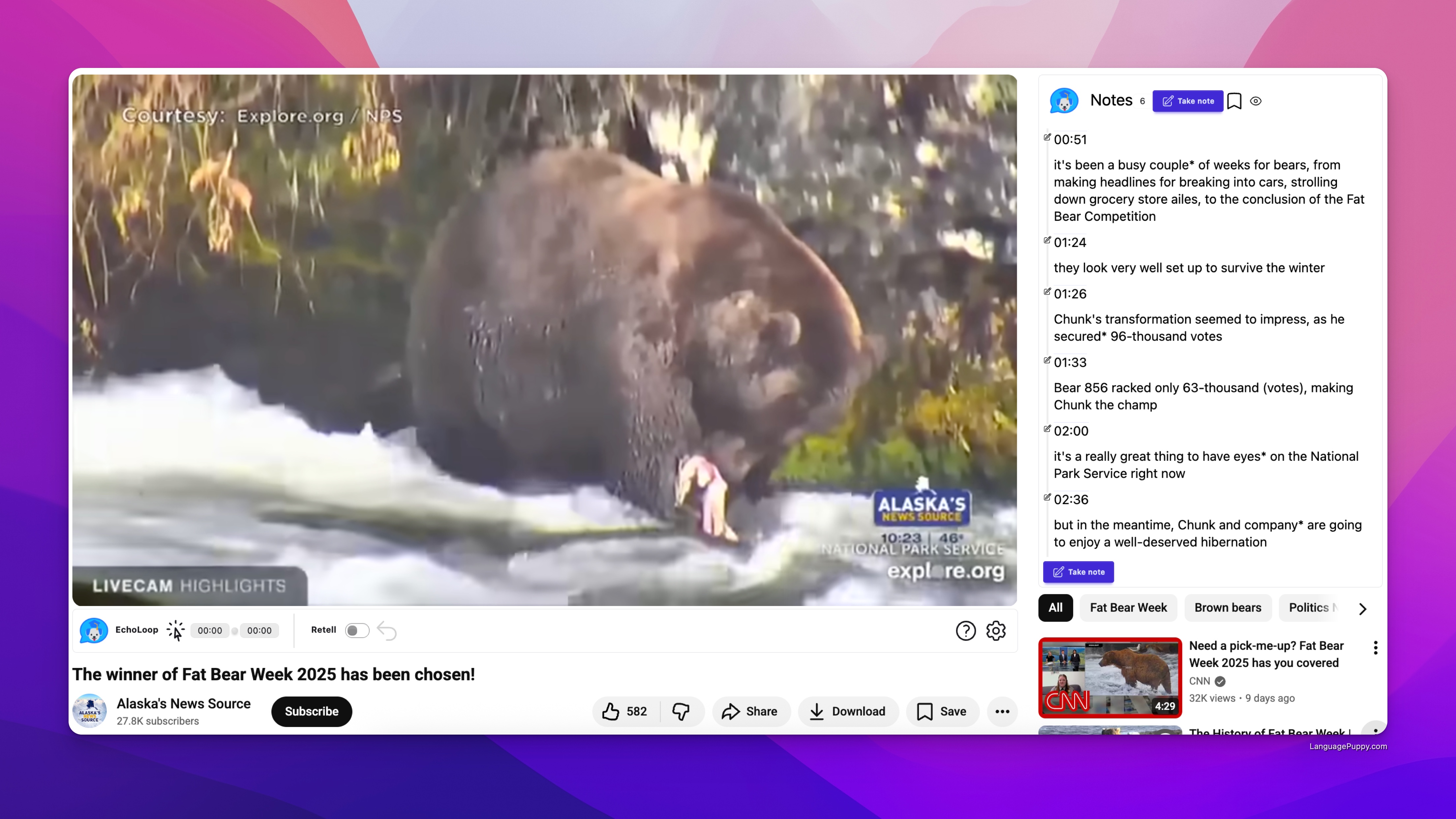 Fat Bear Week