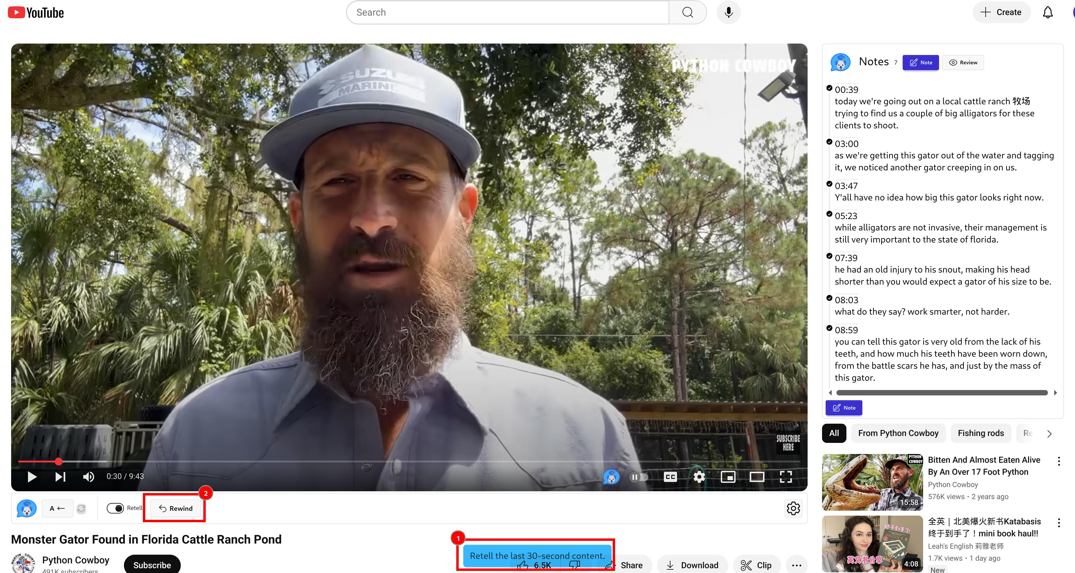 Being Paused and the Rewind Button