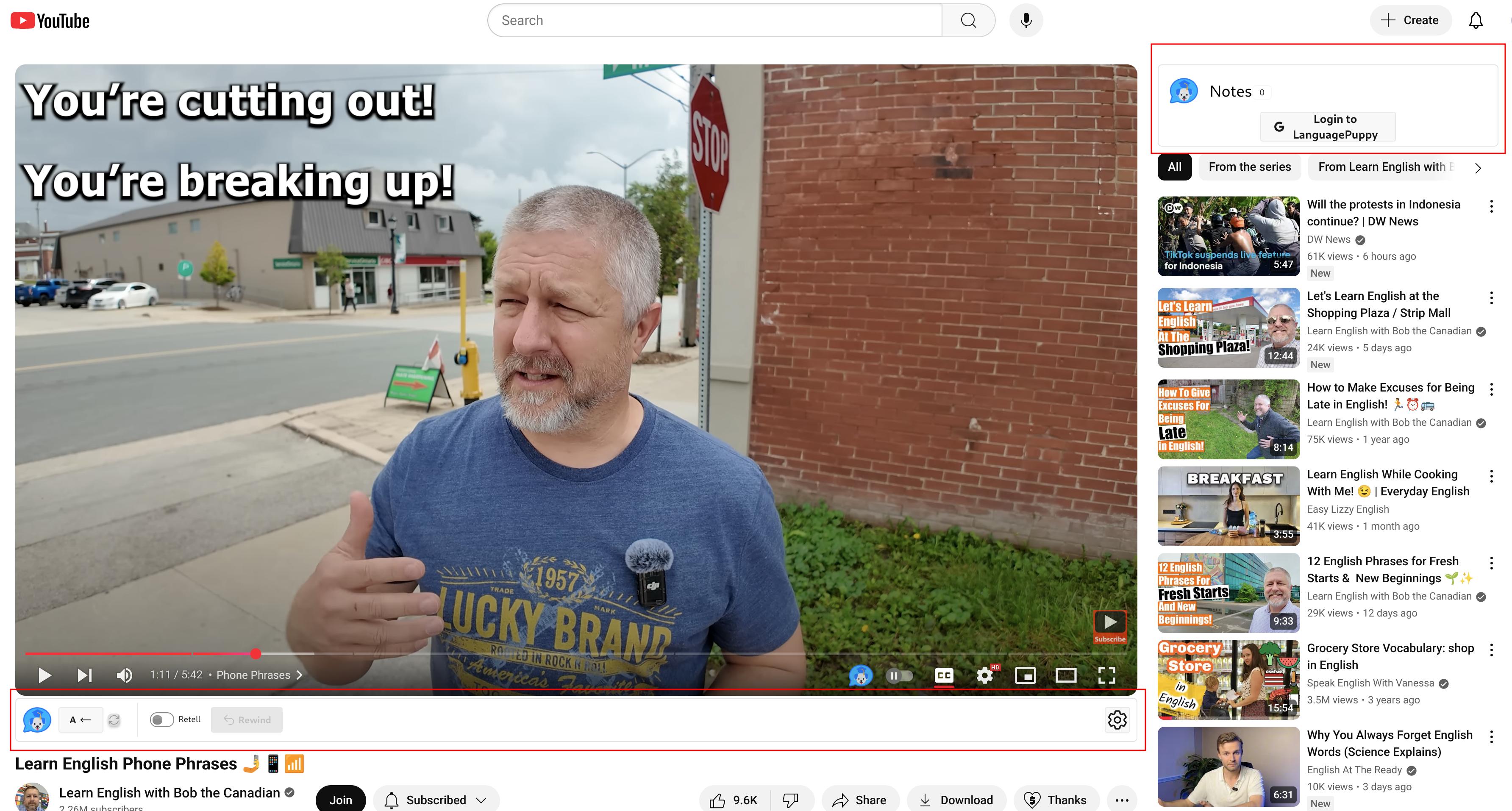 LanguagePuppy's YouTube UI